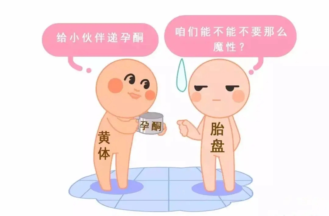 HCG和孕酮低一定會流產(chǎn)？備孕女性必須知道的孕早期“秘密”