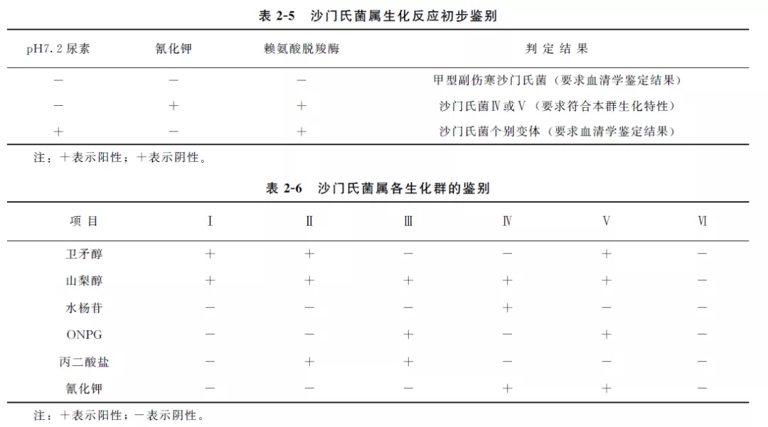 沙門氏菌屬生化反應(yīng)初步鑒別