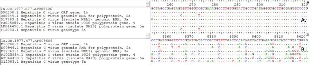 A.5’端非編碼區(qū)序列；B.NS5序列